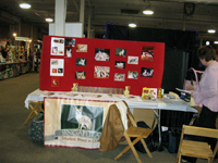 The CFA Intertional Cat Show